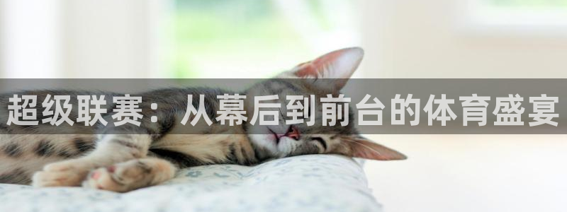 超级联赛：从幕后到前台的体育盛宴