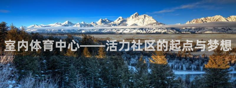 室内体育中心——活力社区的起点与梦想