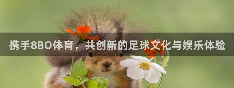 携手8BO体育，共创新的足球文化与娱乐体验