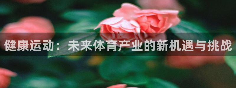 健康运动：未来体育产业的新机遇与挑战