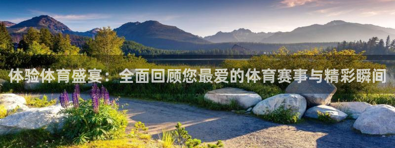 体验体育盛宴：全面回顾您最爱的体育赛事与精彩瞬间