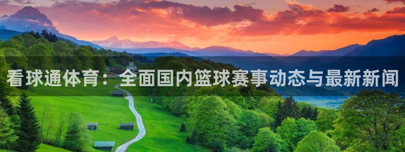 看球通体育：全面国内篮球赛事动态与最新新闻