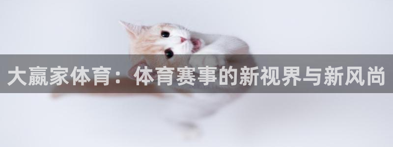 大嬴家体育：体育赛事的新视界与新风尚