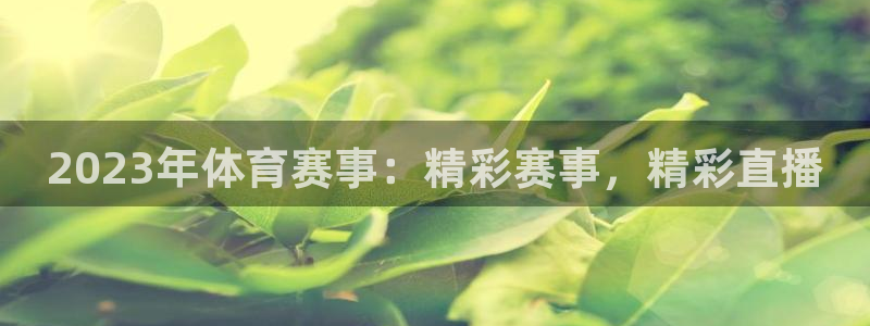 cba篮球直播球迷网：2023年体育赛事：精彩赛事，精彩直播