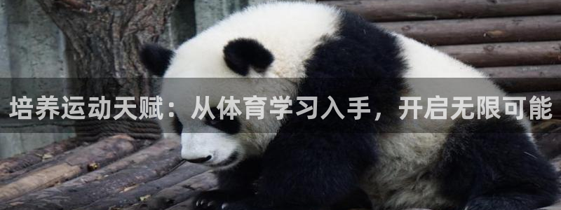 曼联球迷论坛：培养运动天赋：从体育学习入手，开启无限可能