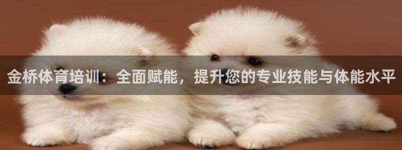 nba球迷网直播：金桥体育培训：全面赋能，提升您的专业技能与体能水平