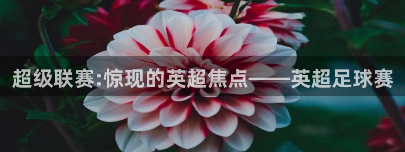 球迷汇体育：超级联赛:惊现的英超焦点——英超足球赛