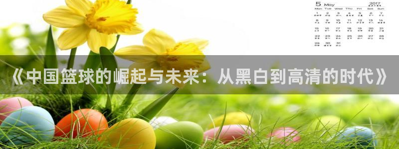 178高清篮球体育直播球迷网：《中国篮球的崛起与未来：从黑白到高清的时代》